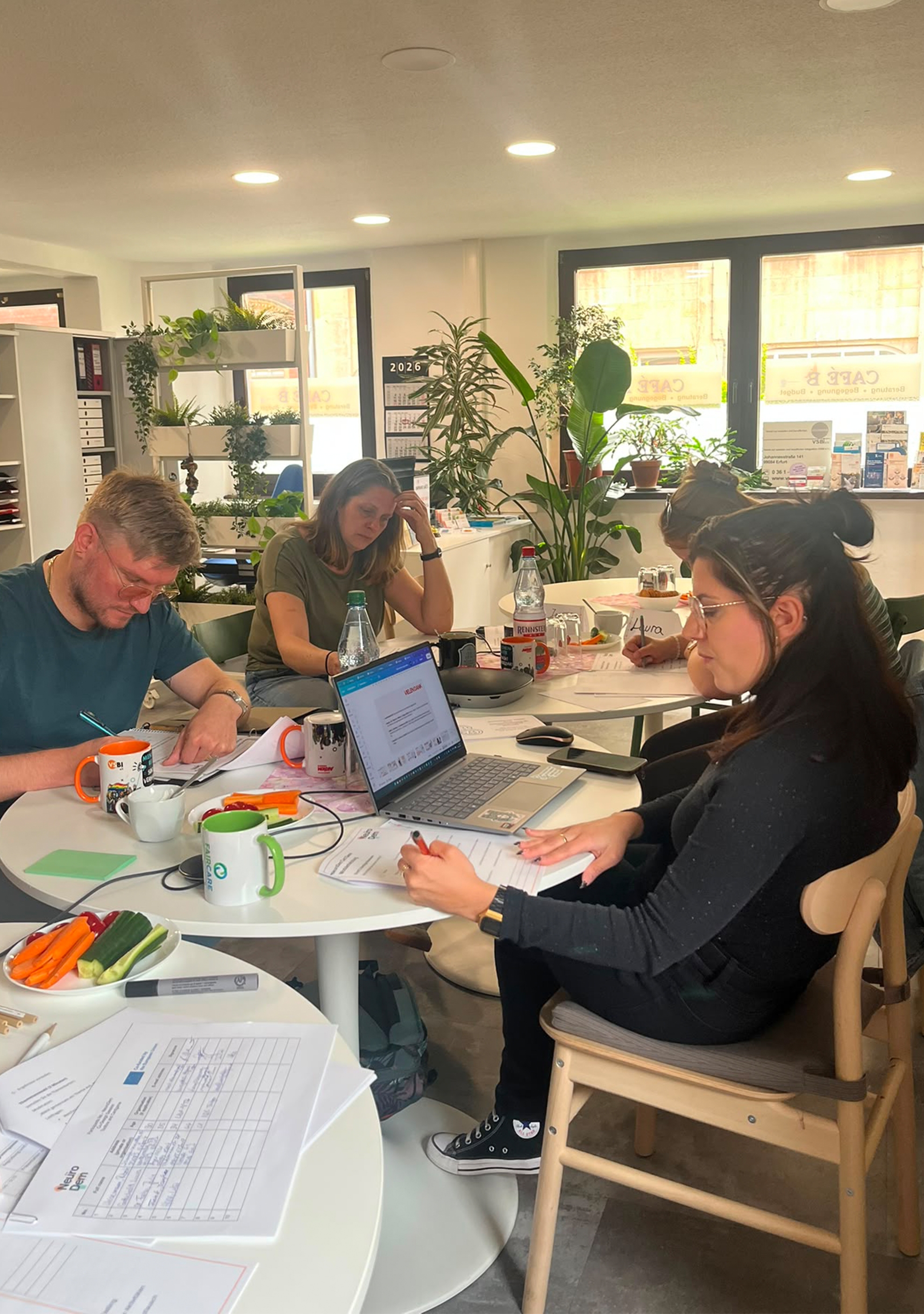 Fotografie eines Arbeitstreffens in hellem Büro mit vier Personen an Tischen, Laptop, ausgedruckten Unterlagen, Stiften und Getränken. Eine Frau bearbeitet Unterlagen am Laptop, während die anderen Teilnehmenden Notizen machen; Pflanzen, Regale und große Fenster prägen den Raum.