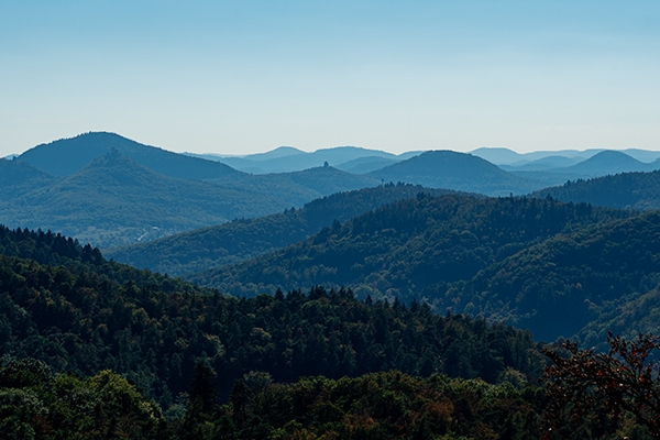 Der Wald ersteckt sich bis hinter den Horizont